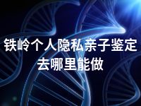 铁岭个人隐私亲子鉴定去哪里能做