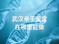 武汉亲子鉴定在哪里能做