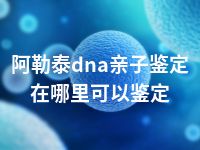 阿勒泰dna亲子鉴定在哪里可以鉴定