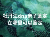 牡丹江dna亲子鉴定在哪里可以鉴定